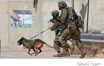 صنعاء نيوز - 
كشفت صحيفة إسرائيلية عن "ظاهرة جديدة" في قطاع غزة تتمثل في ربط السكان كلابهم في ساحات منازلهم، لإرباك الكلاب التي تعتمد عليها