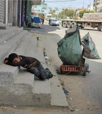   - 
                     81       2025    