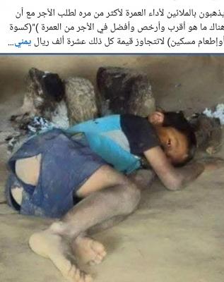   - 

    (WFP)            ɡ        61%  