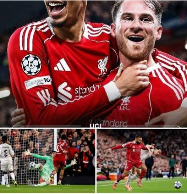   -                 ..
       