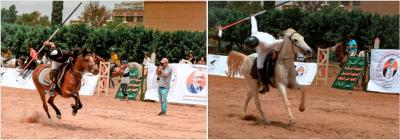   -                   30 