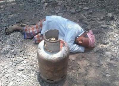   - 
       ()          2025  1.8  